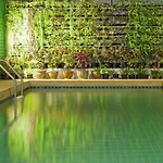 Wiz Hotel