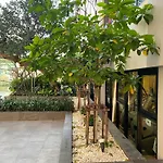 The Base In *