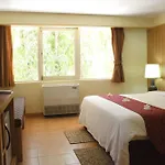 Palm Garden Hotel