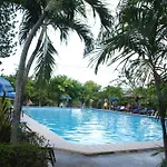Palm Garden