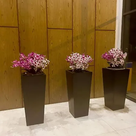 Hotel The Aurora 5*