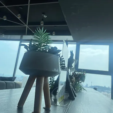 网红酒店公寓/贝斯公寓/24小时保安/海景公寓 *