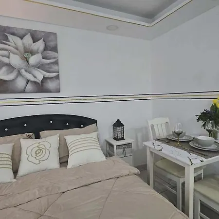 Pool View Pet Friendly Siam Oriantal Tropical Thailand Pattaya