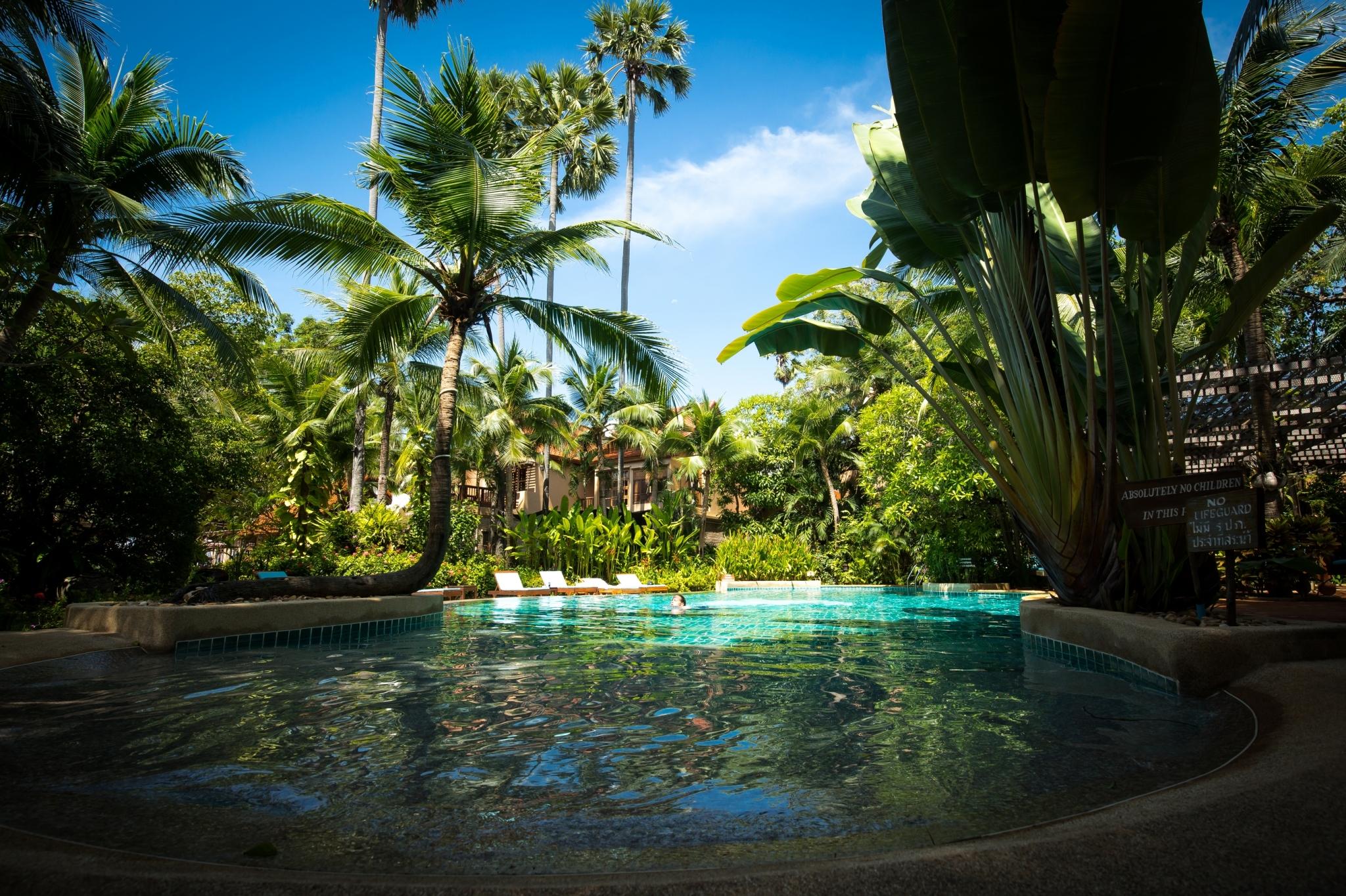 Resort Rabbit Pattaya