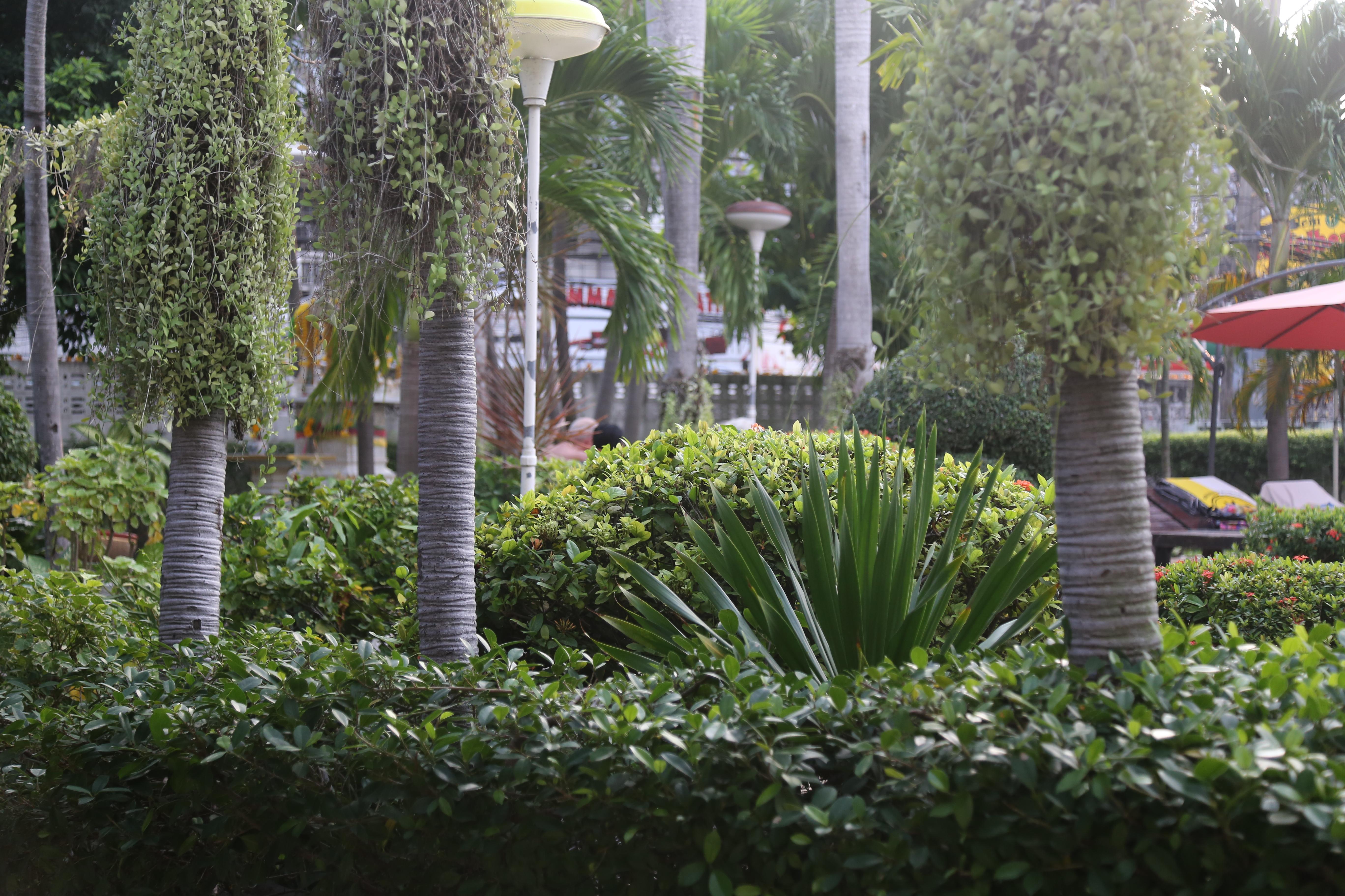 Romeo Palace Hotel