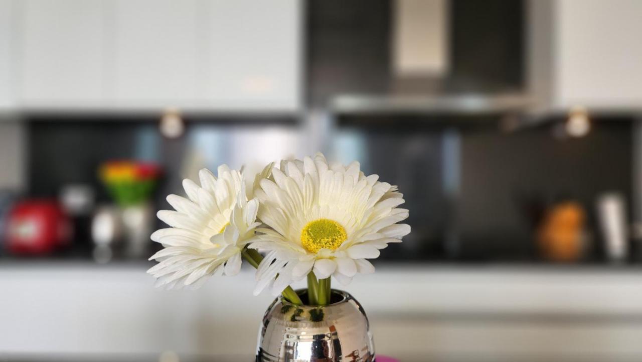 Premium Oceanview Apartment *