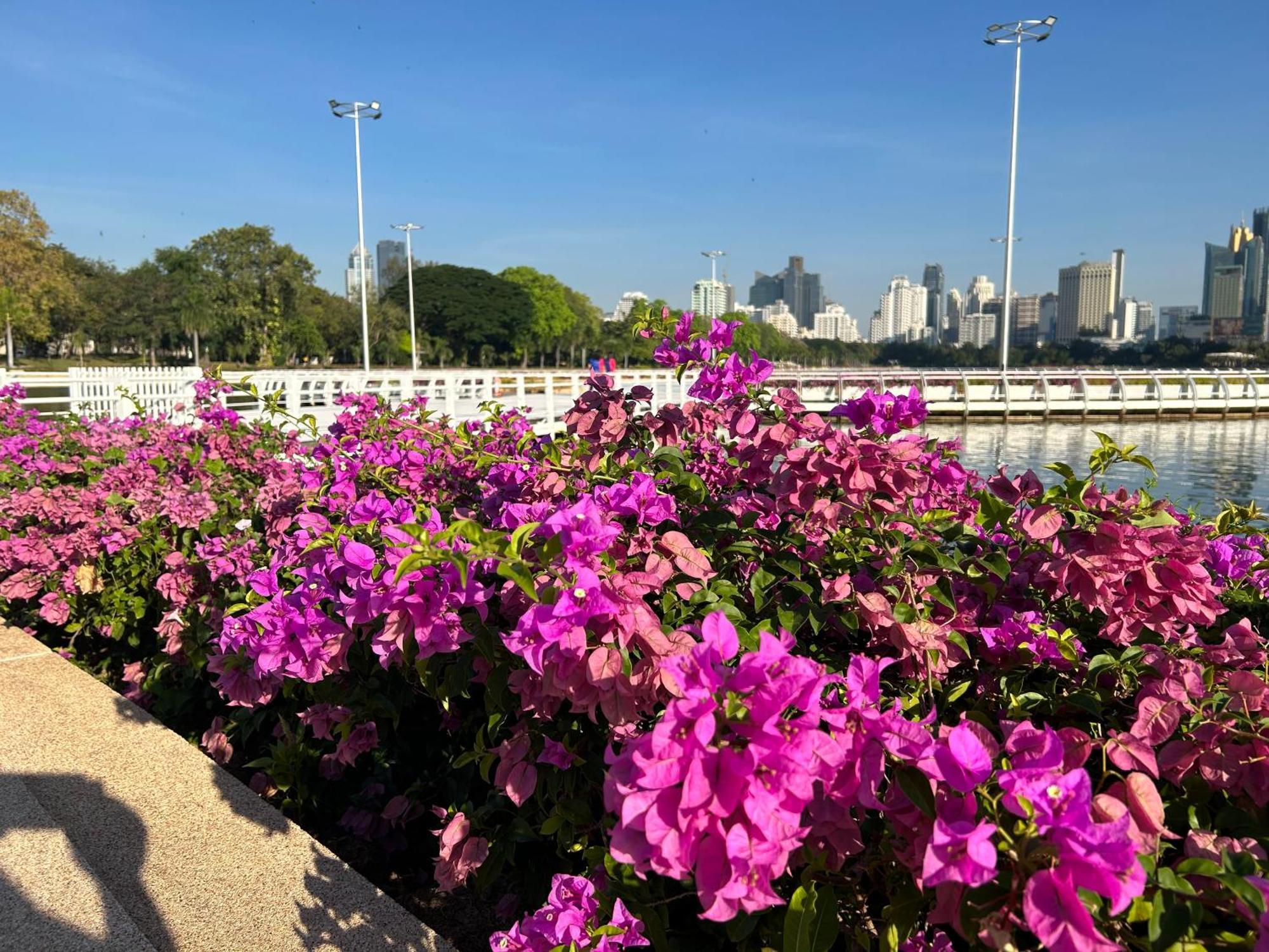 Apartment Mina View 2 Pattaya