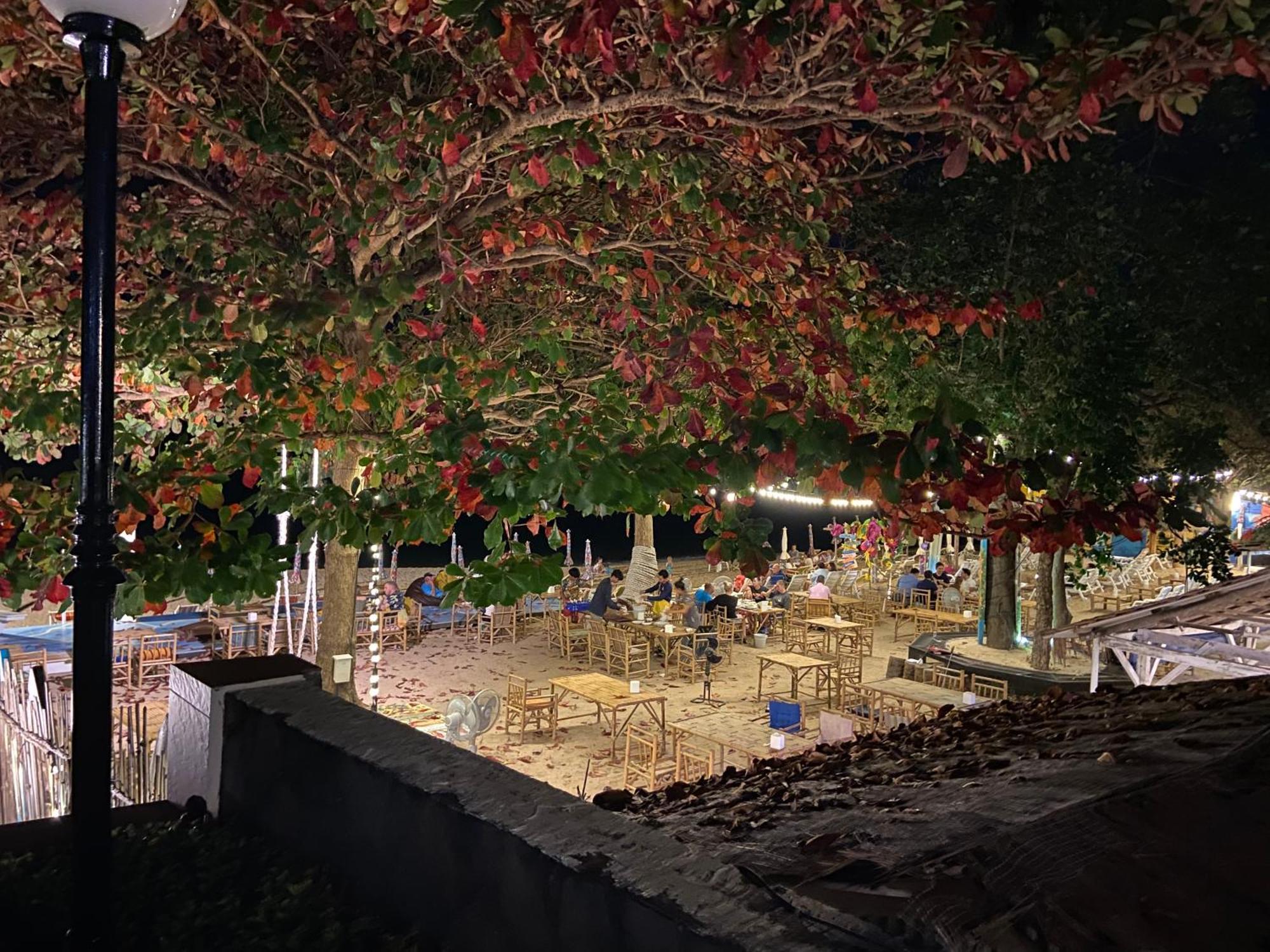 Apartment Amazing Cozy Seaview *