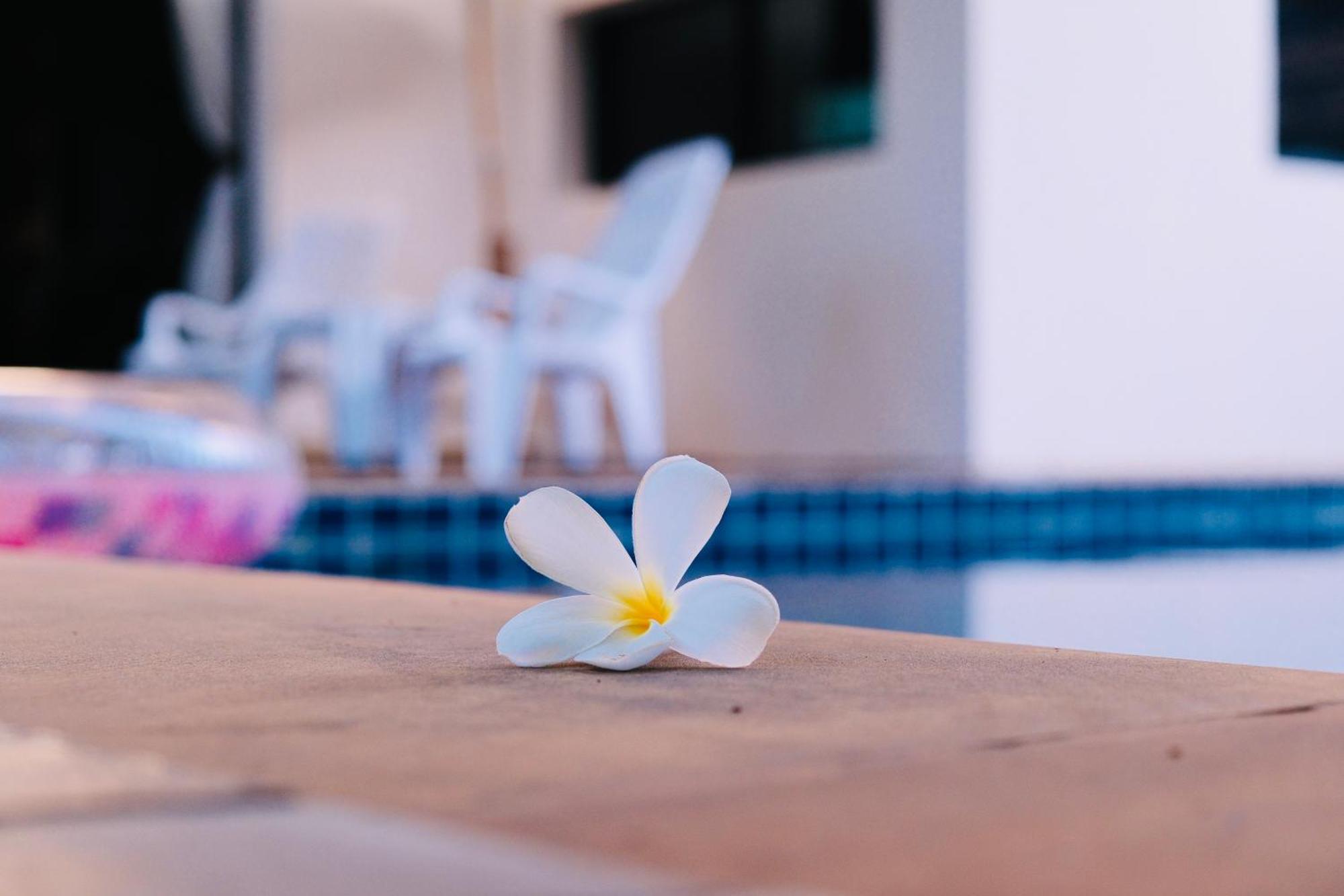 Vila Hollywood Pool Center Pattaya