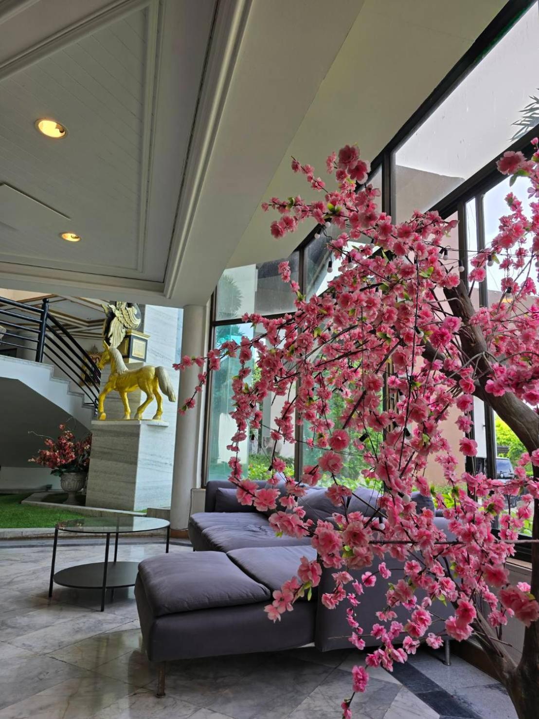 First Pacific Cirrus Pattaya