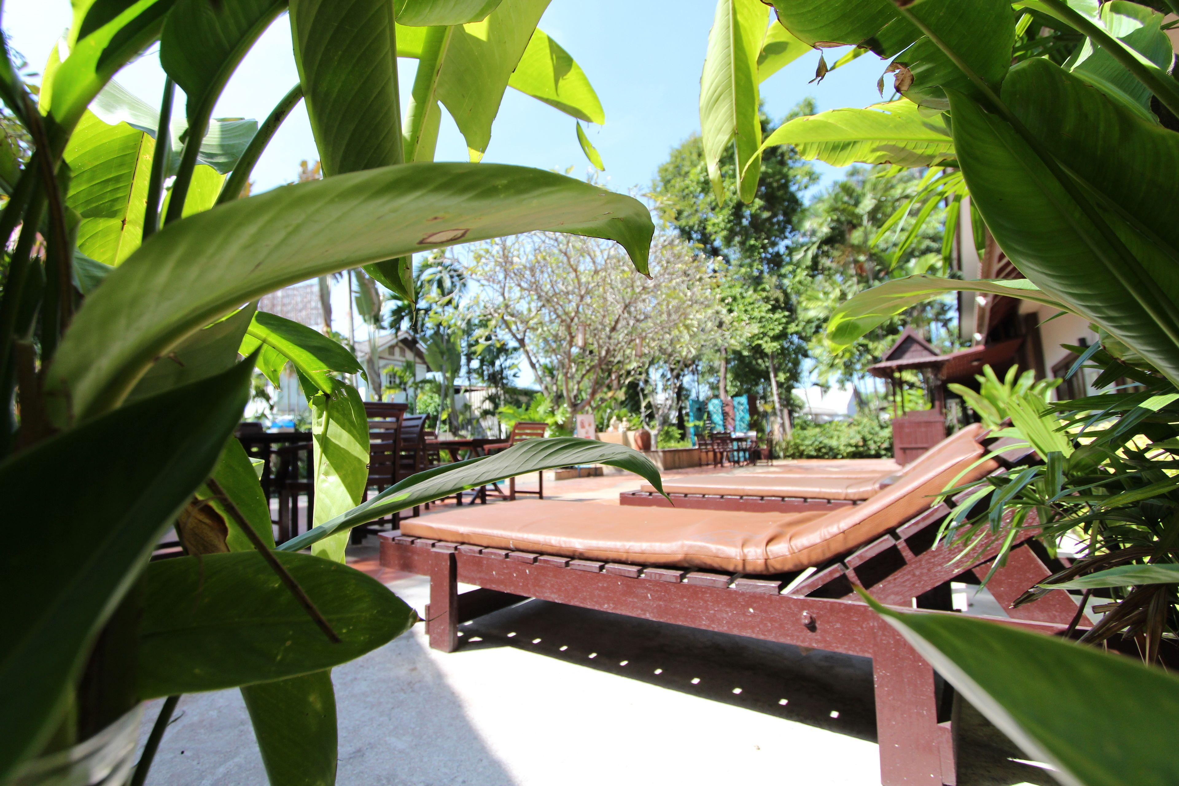 รีสอร์ท Gazebo Resort,