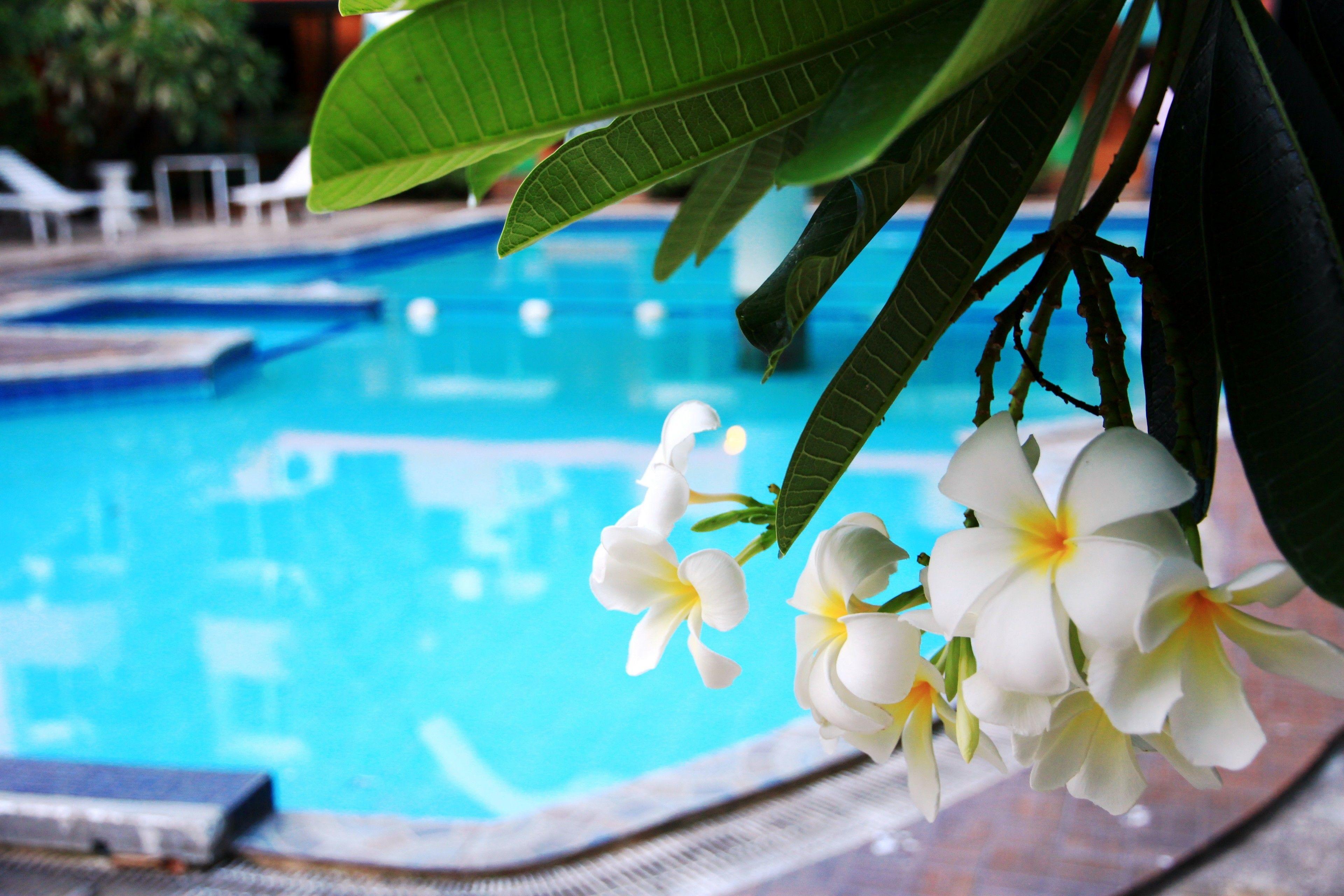 Seashore Hotel Pattaya