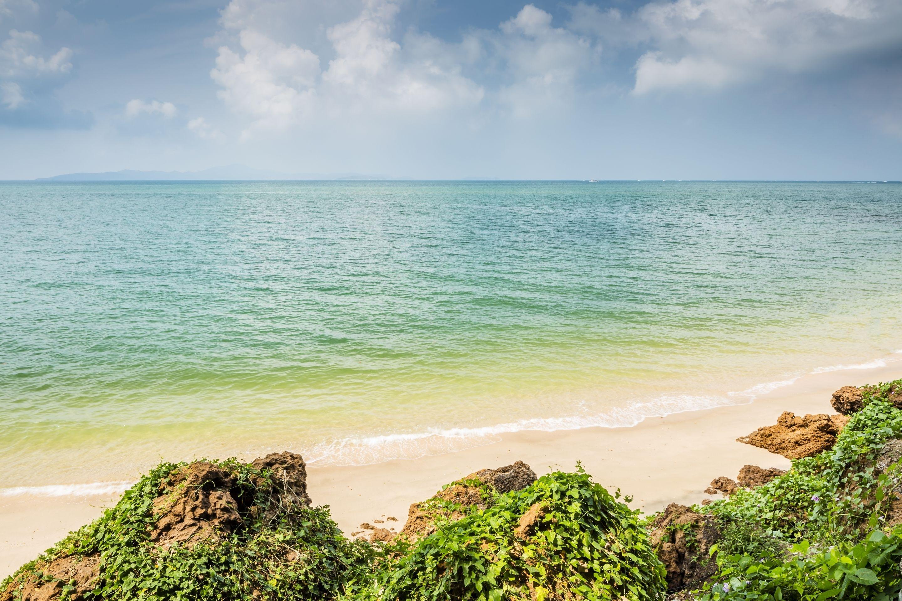 The Monttra Pattaya - Sha Extra Plus Resort 5*