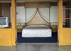 Royal Twins Palace Hotel 4*