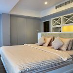 秘狗nova Hotel