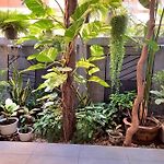 Dad N Mom\'S House By Thongnak Apartment