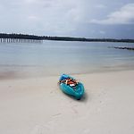 Sea Horse Pattaya