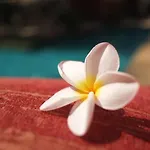 พระตำหนักวิลล่า 10 ห้องนอน พร้อมสระว่ายน้ำส่วนตัว *