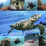 Canterbury Tales Guesthouse