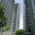 The Base *