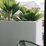 One