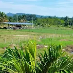 Villa The Park Pool *