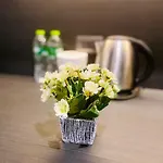 Edge Vip *