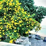 Sky Sea View Pattaya