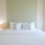 Shamrock โรงแรม
