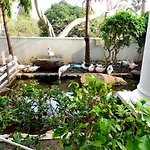 Spacious Seaview 3br Apartment:direct Access อพาร์ทเม้น