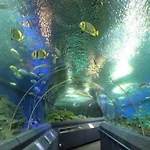Hotel Oyo 438 24