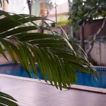 Hollywood Pool Villa City Center