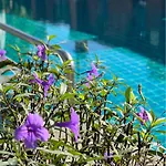 Hotel Pattara Mansion พัทยา Pattaya