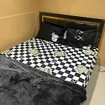 Stay Inn