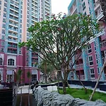 อพาร์ทเม้น Grande Caribbean One-bedroom Near Walking Street And Jomtien