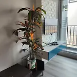 Centric Sea Pattaya中心海 Apartment Pattaya