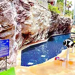 Caribean Siam Star Selected Apartment