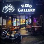 W33D Gallery Pattaya