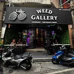 W33D Gallery Pattaya