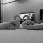 Charm Hotel 3*