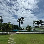 Wongamat Palm