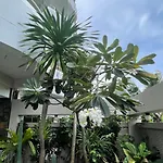 Garden Paradise 3*