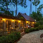 Rabbit Pattaya
