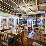 Rabbit Pattaya