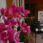 Guest house Seedling House 2*