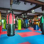 Fairtex Express