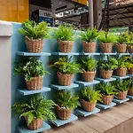 7 Stays Pattaya Hotel