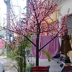 La Canteena