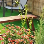Homestay 78's Hometel 103 Pattaya