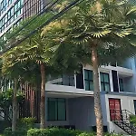 Laid Back Tropical Garden *